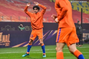 九游-莎拉波娃遭遇五连败，日本队教练面临压力！的简单介绍